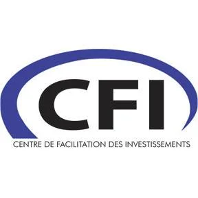 Government-of-Haiti-Centre-de-Facilitation-des-Investissements-CFI.webp
