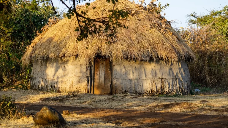 tanzania-g8b5f8d2fb_1920